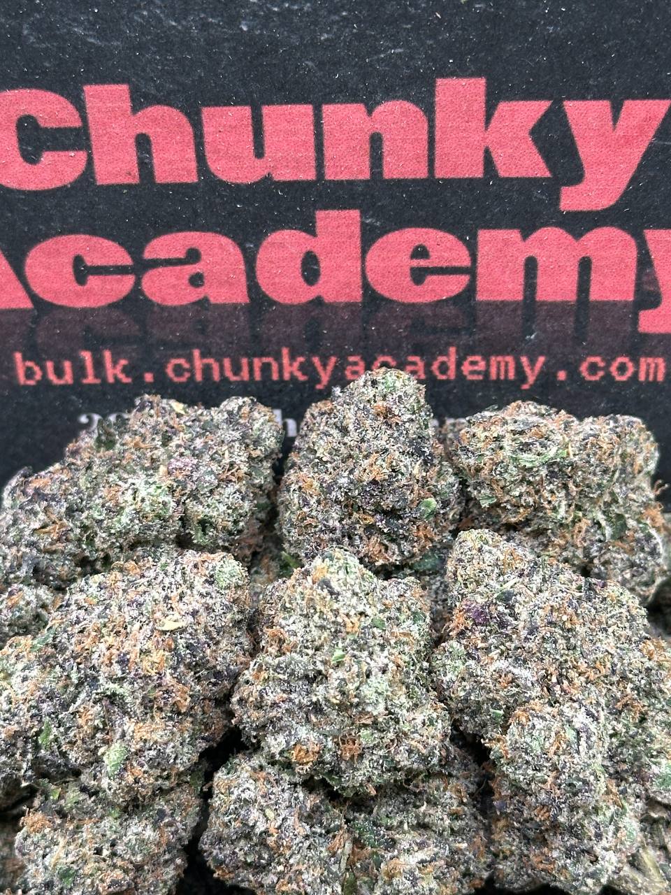 #IN198 - Diamond Reverie (Hybrid)