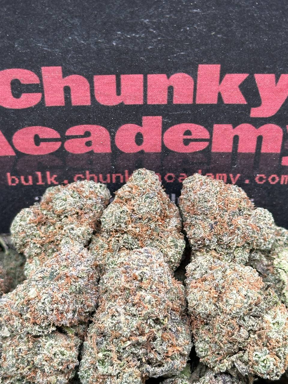 #EA398 - Guava Monarch (Hybrid)