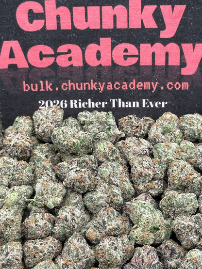 #SS421 - Lunar Custard SM (Hybrid)