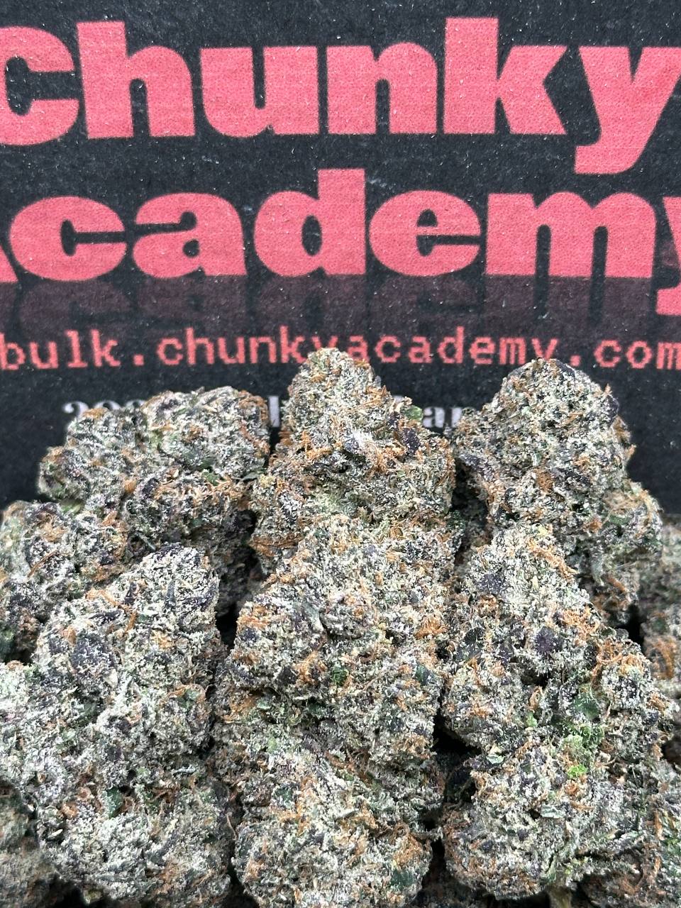 #IN199 - Obsidian Halo (Indica Hybrid)