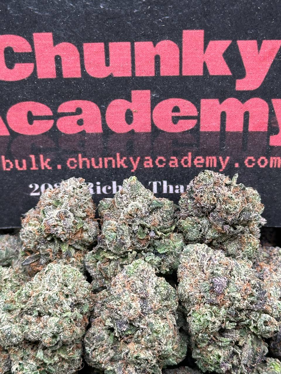 #EA427 - Neon Custard (Indica)