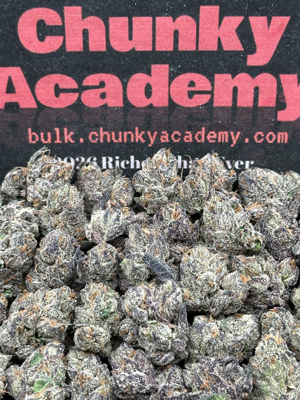 #SS428 - Oranges Sherbet SM (Indica)