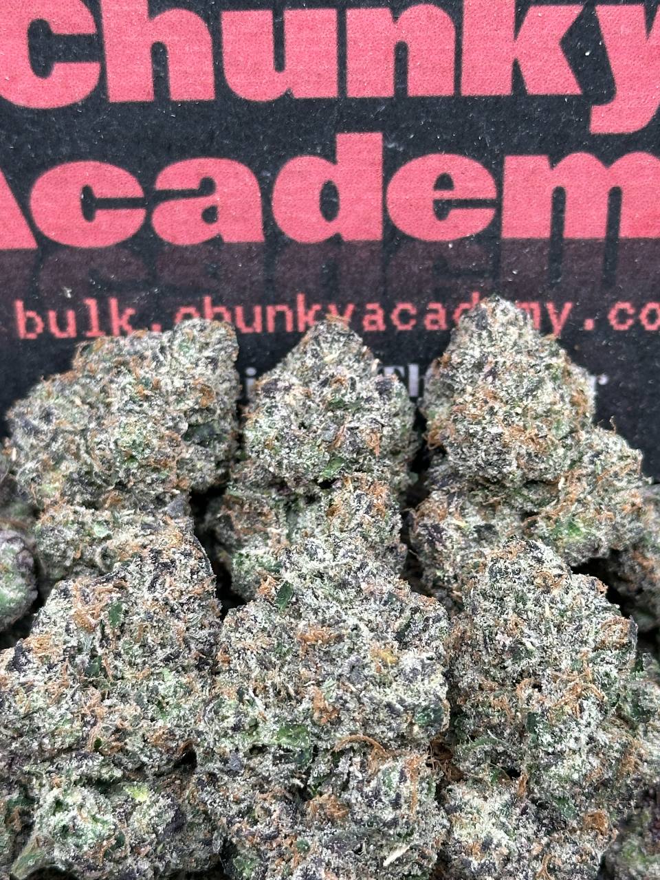 #IN204 - Black Cherry Gelato (Hybrid)