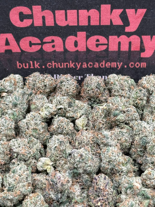 #KAM302 - Orange Sherbet SM (Hybrid)