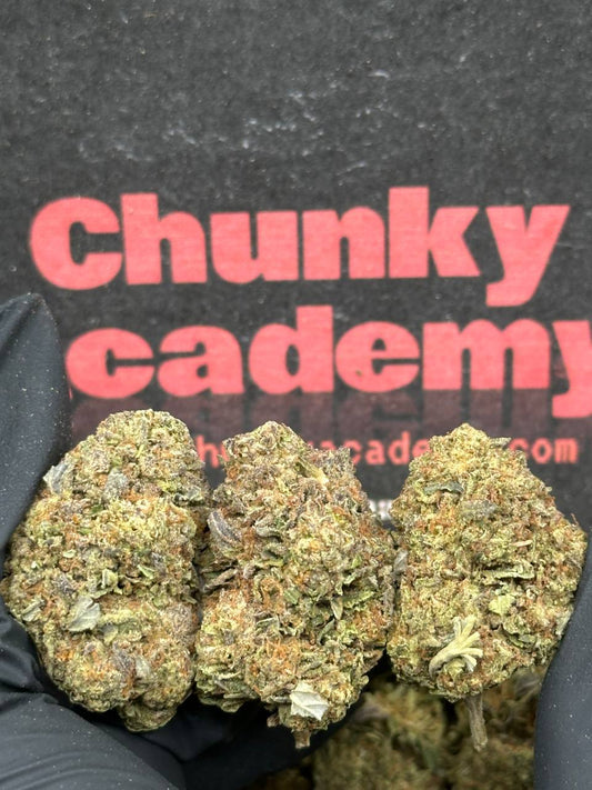 #FK094 - Silver Grove (Hybrid)