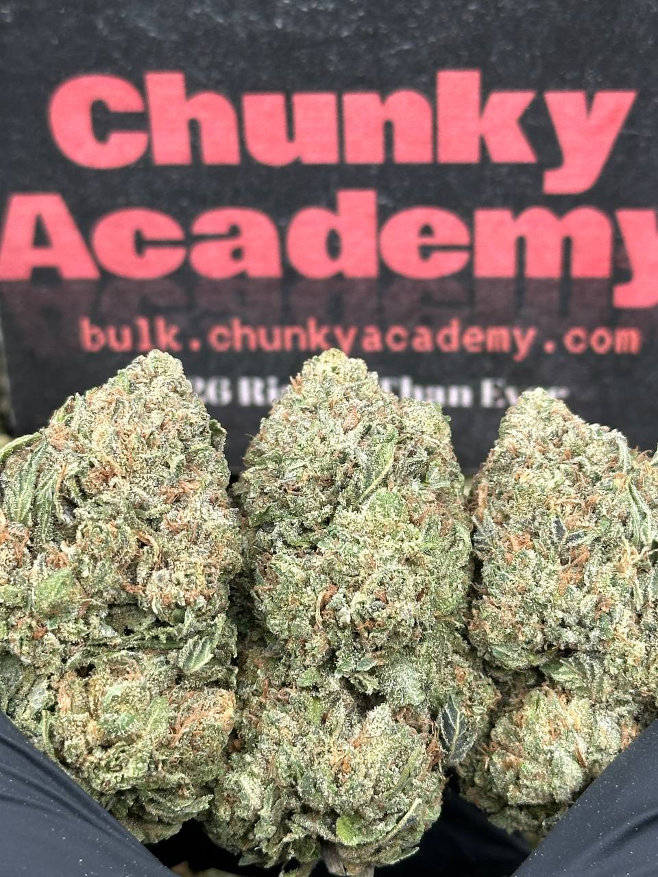 #IP003 - Cedar Market (Hybrid)