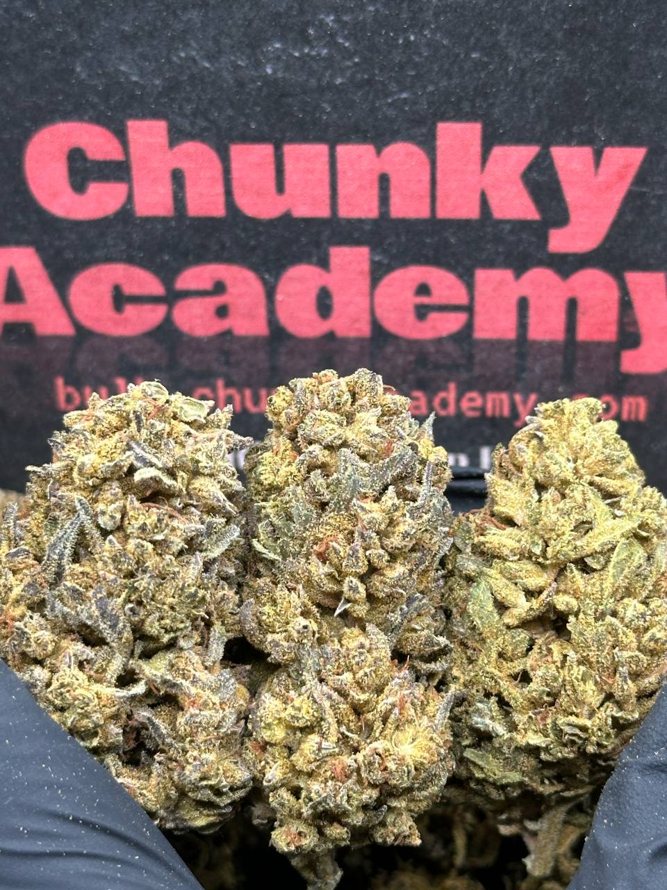 #L632 - Iron Pine (Indica)