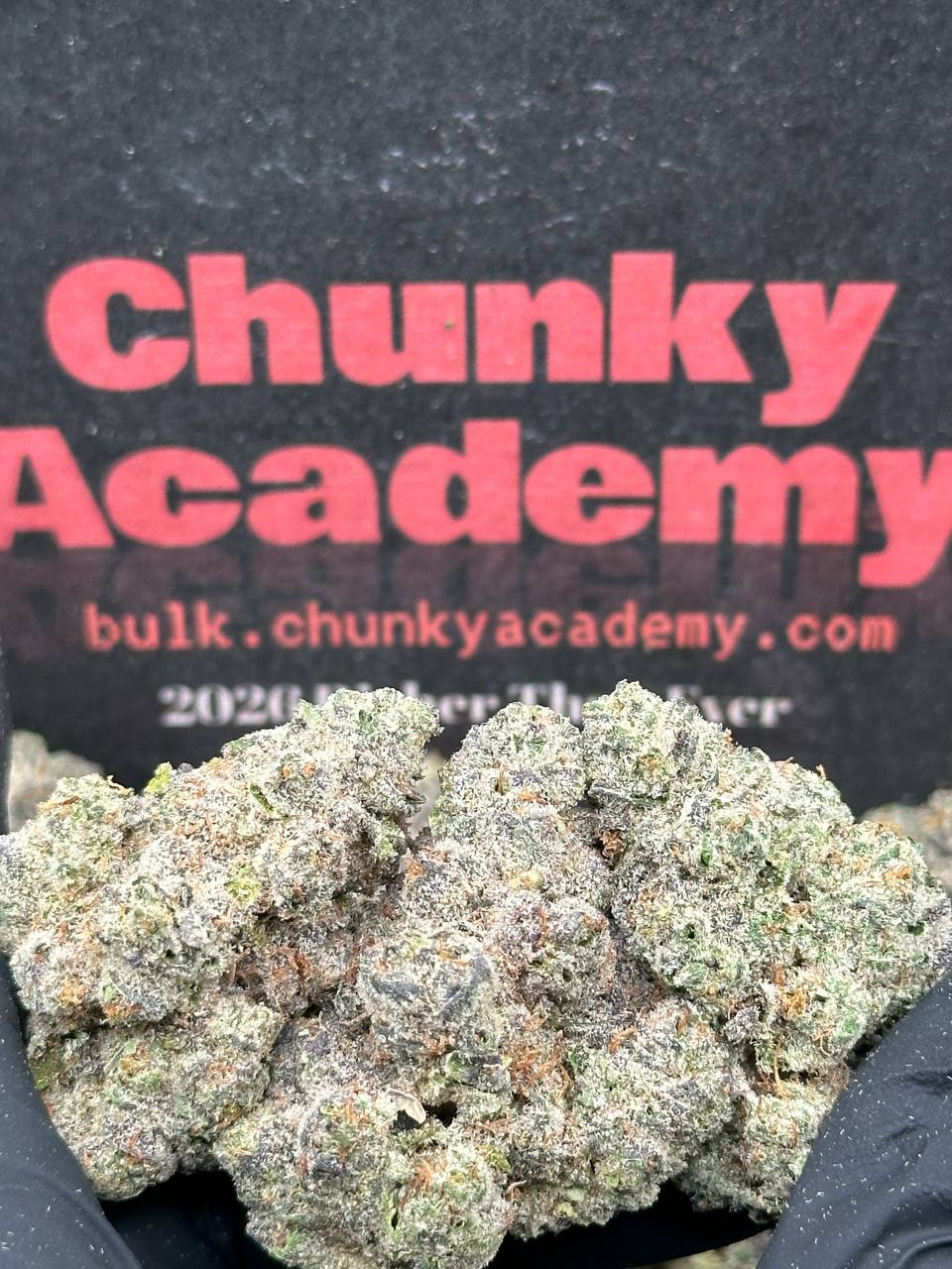 INGS100 - Vanilla Diesel (Indica)