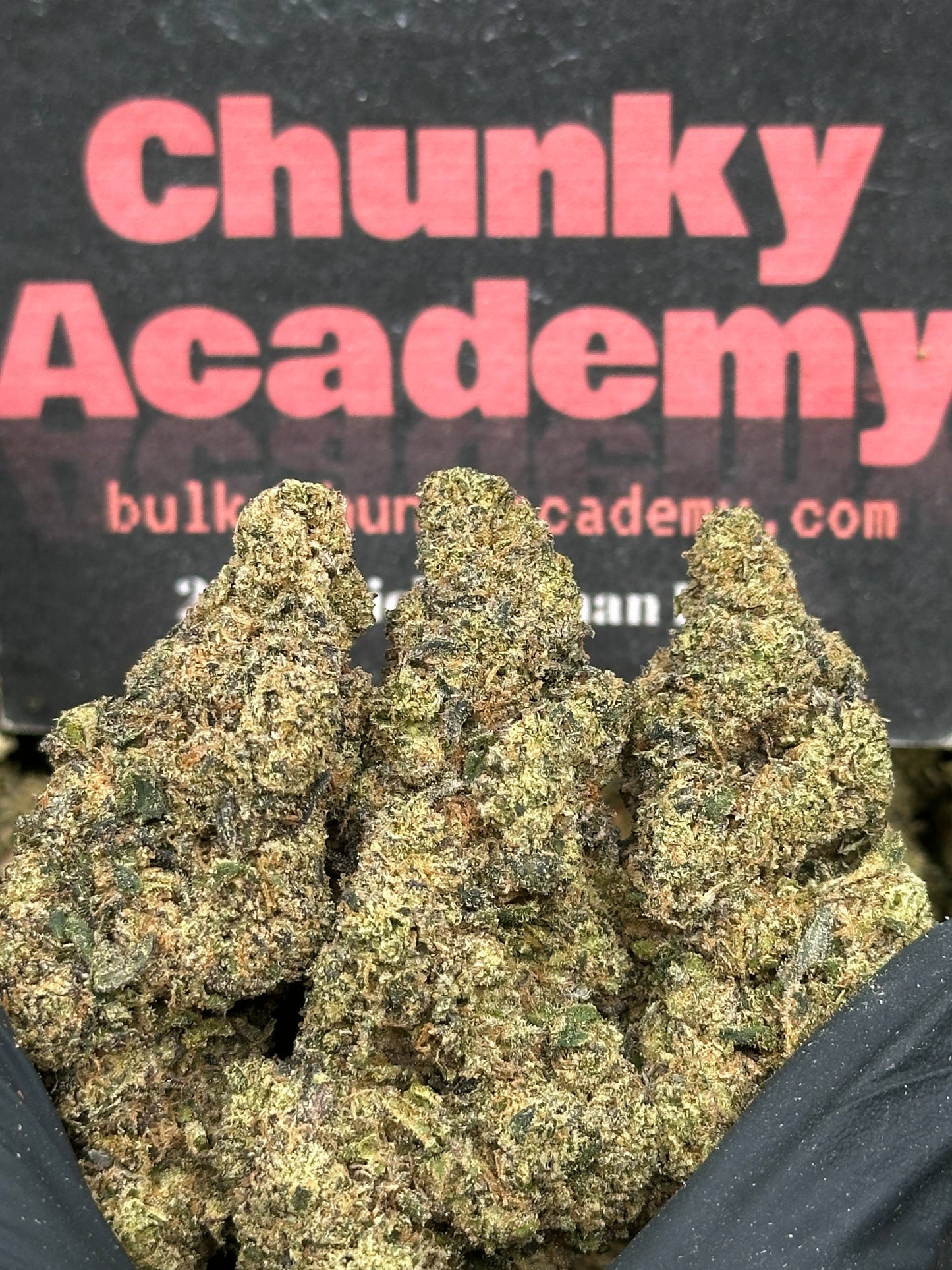 #EA500 - Orange Candy (Hybrid)