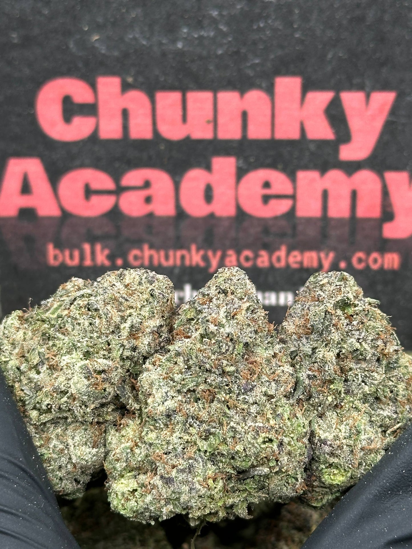 #EA526 - Vanilla Cream Pop (Indica)