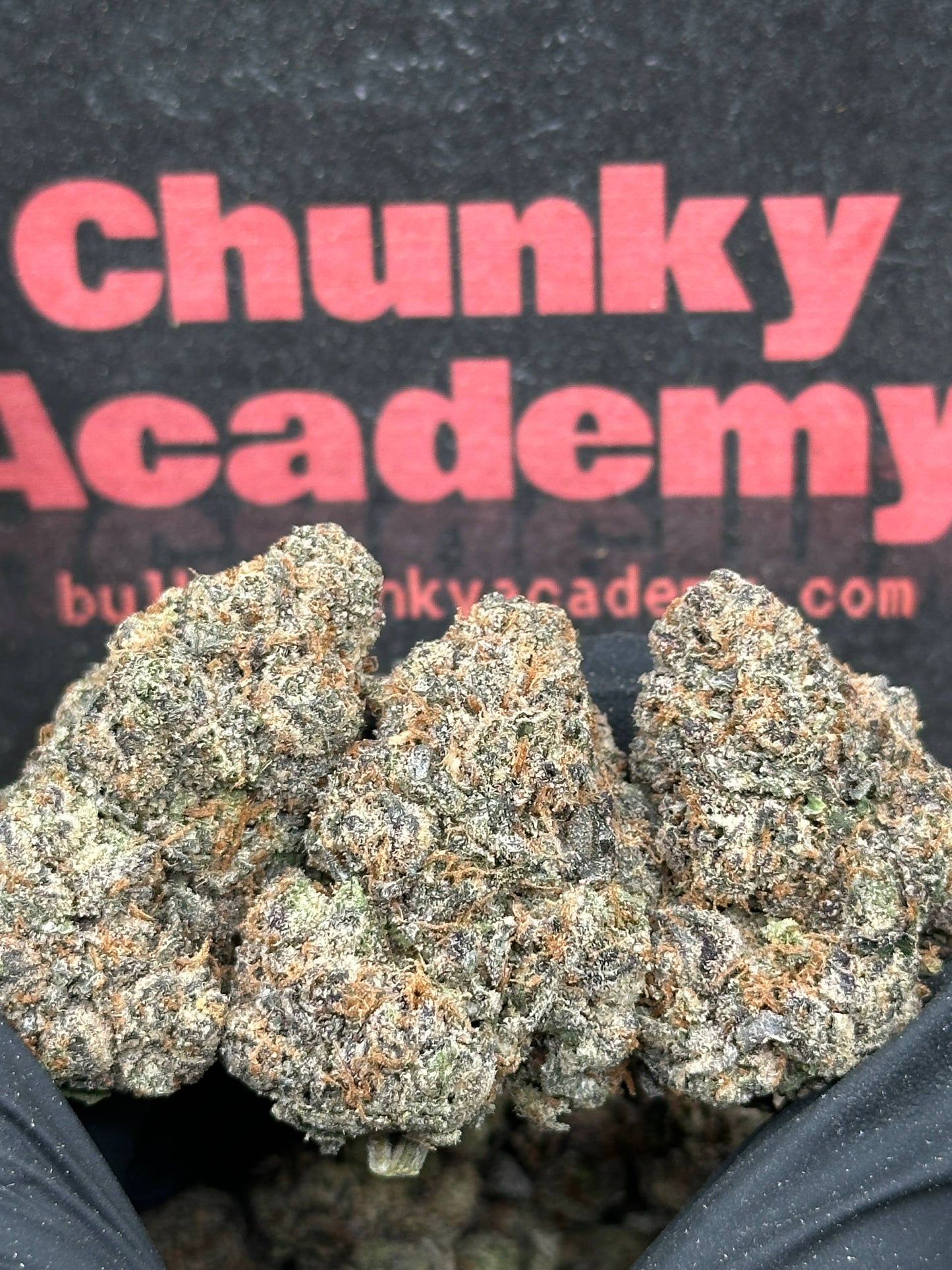 #EA512 - Cherry Sundae (Hybrid)