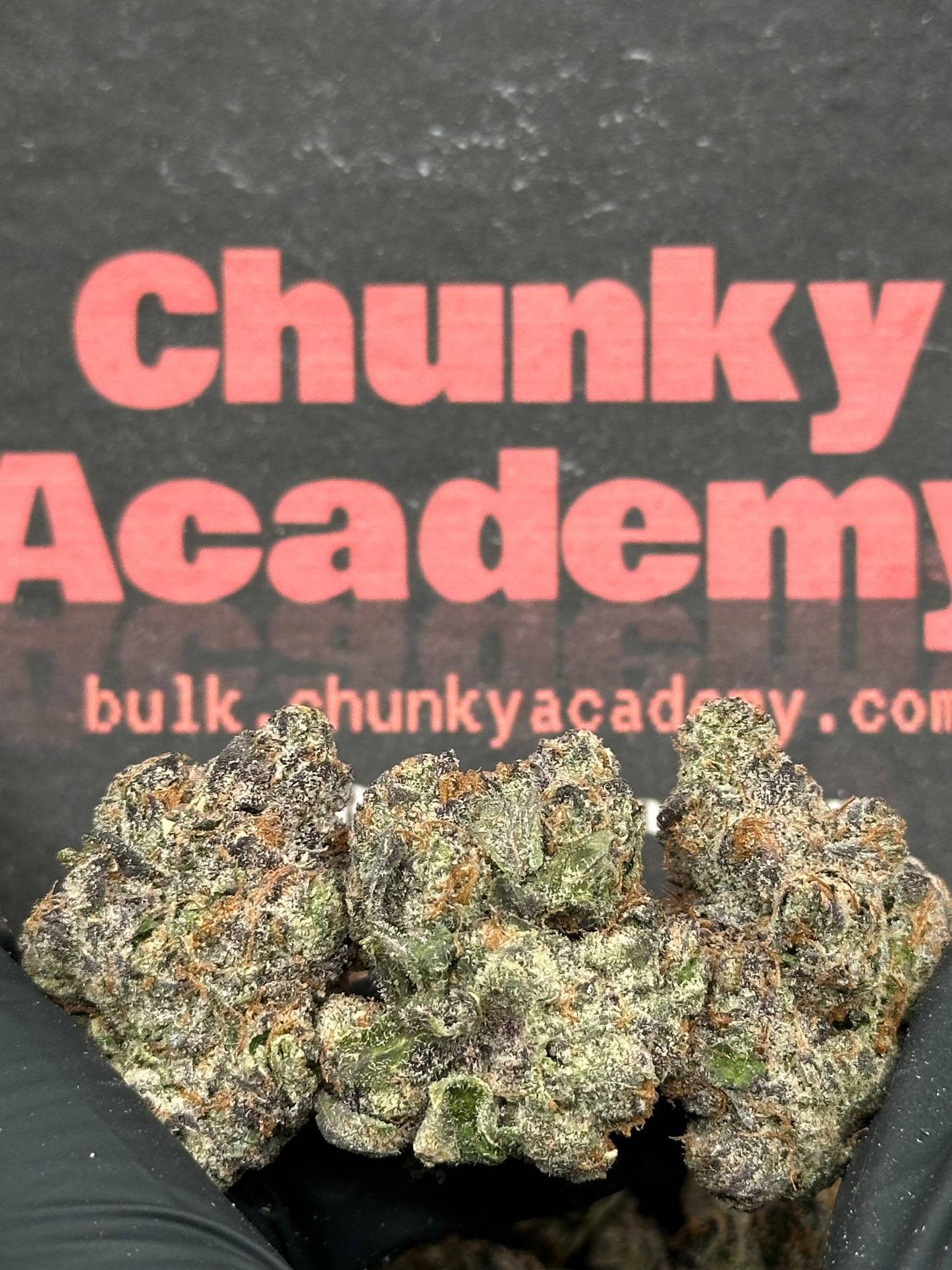 #EA532 - Banana Cream (Indica)