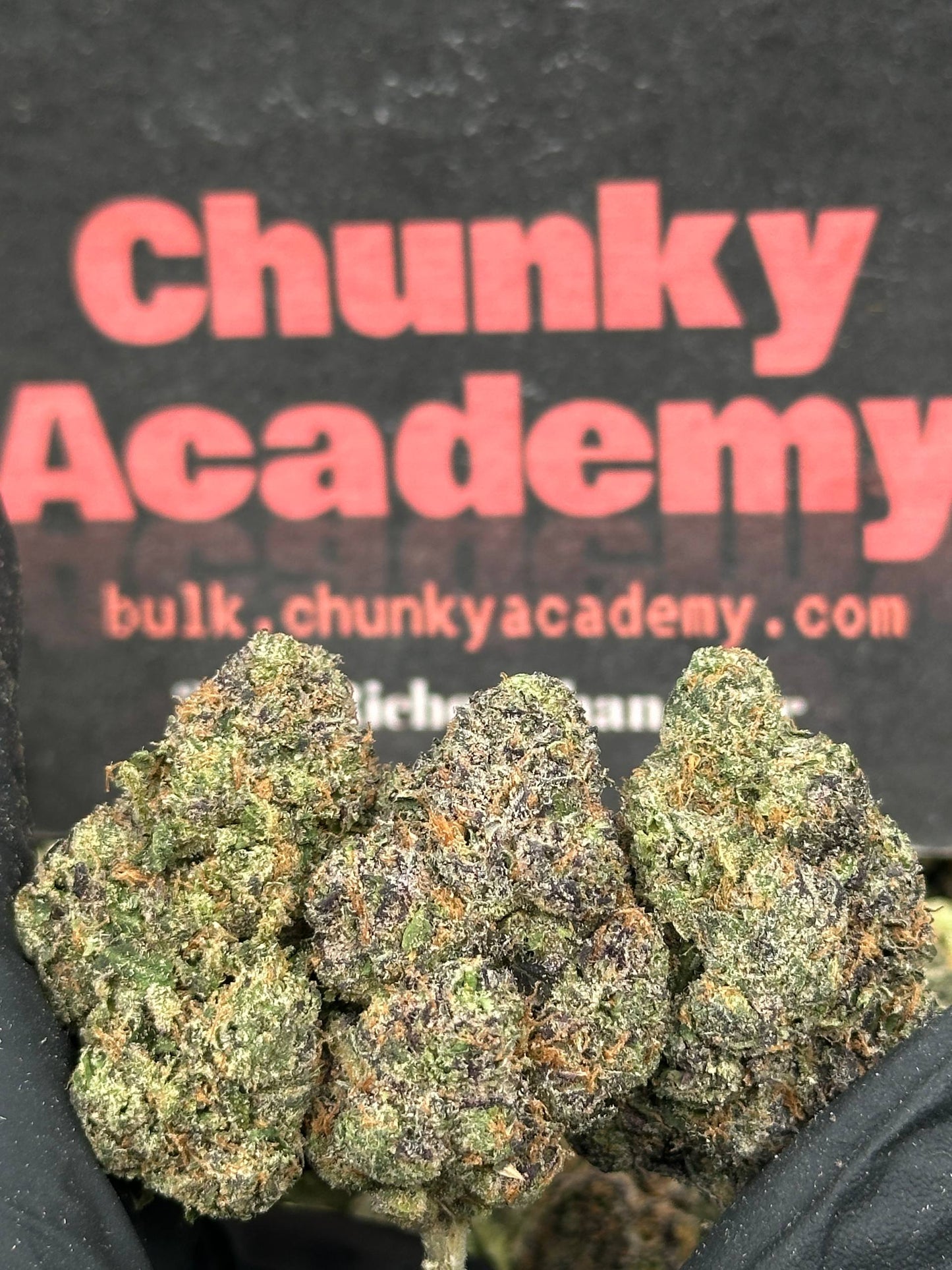 #EA542 - Apple Fritter (Hybrid)
