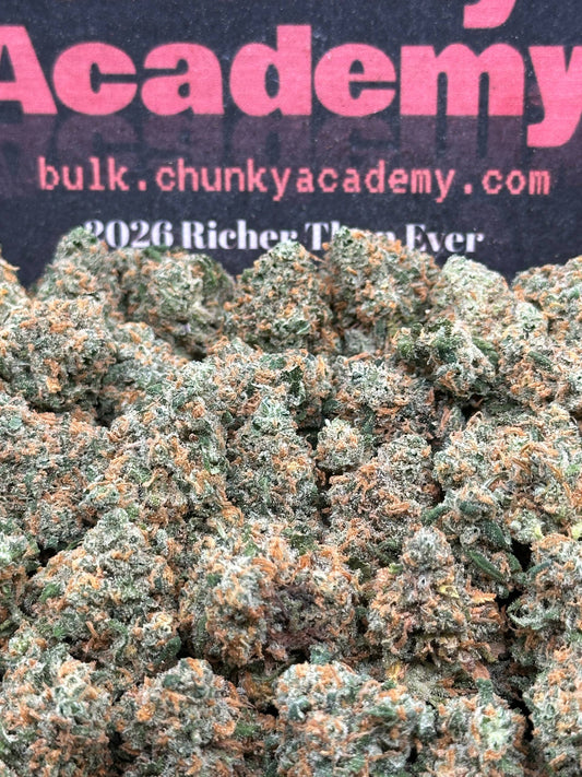 #SS504 - Sunset Sherbet SM (Indica Hybrid)