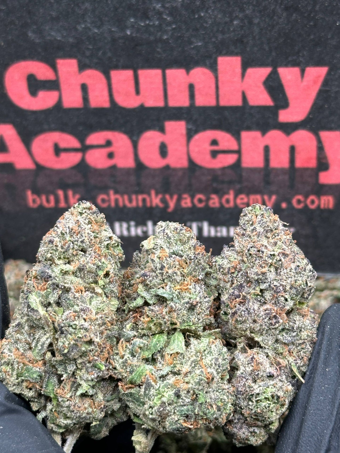 #EA575 - Lava Cake (Indica)