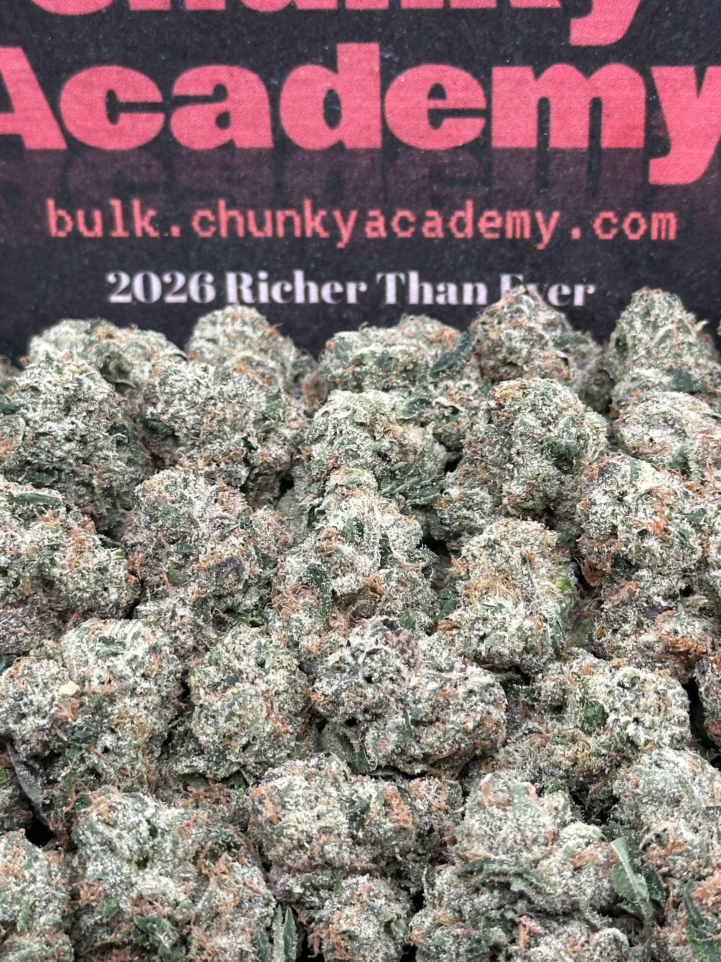 #KAM307 - Wonder Bread (Hybrid)