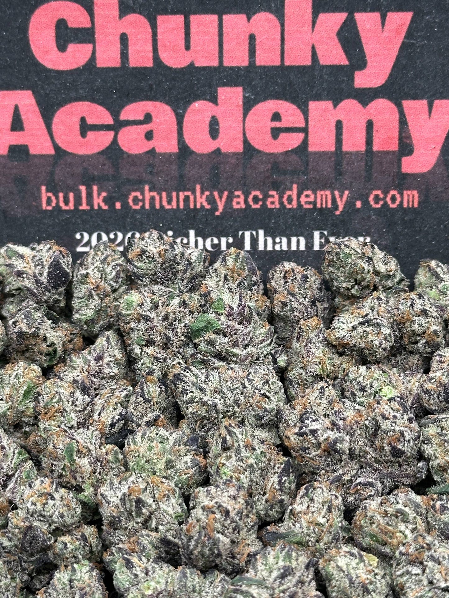 #SS503 - Super Silver Haze SM (Indica)
