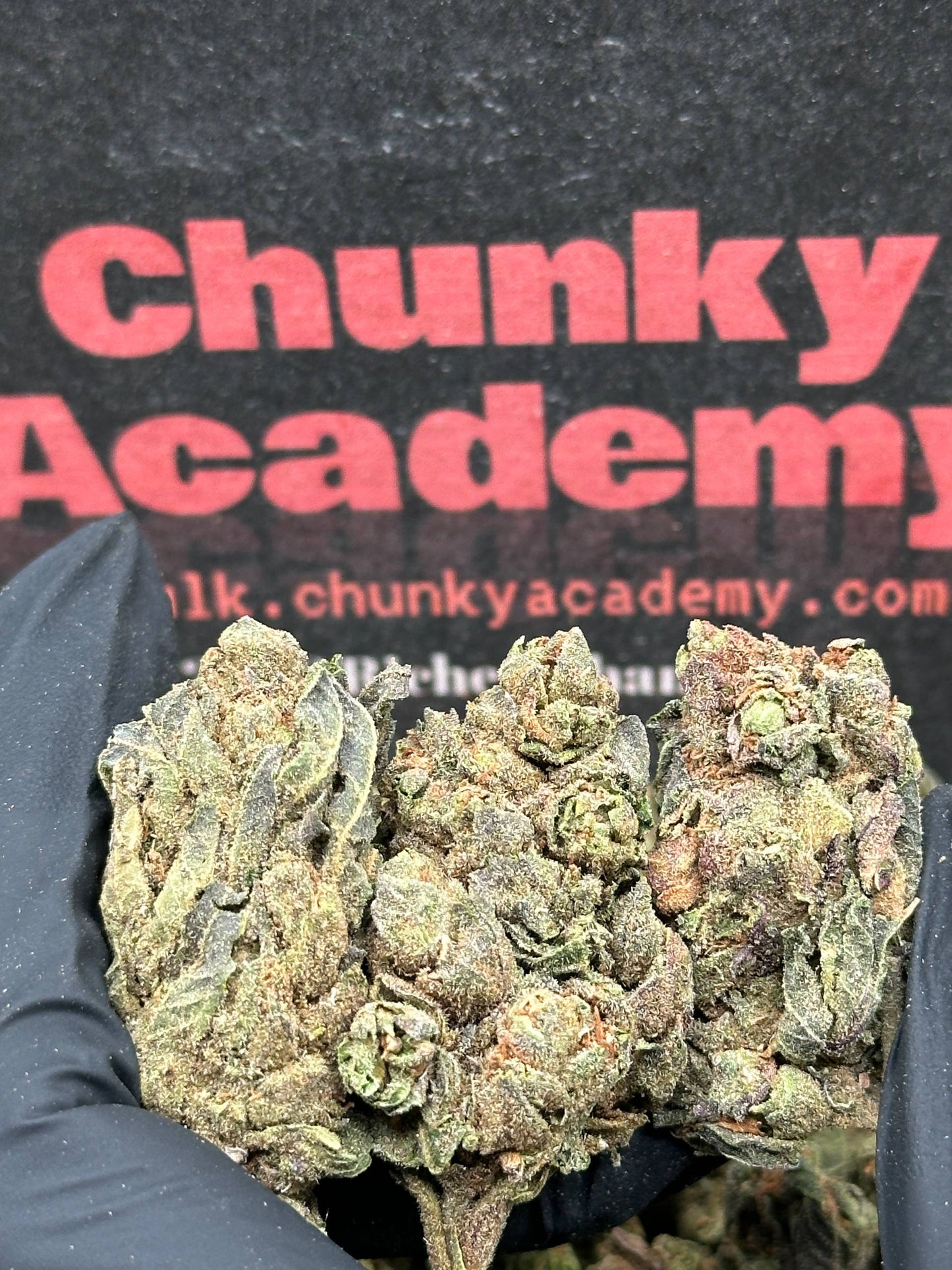 #FK136 - Berry Lush (Hybrid)