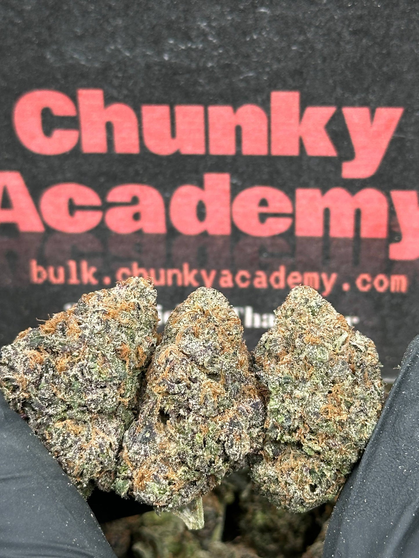 #EA584 - Strawberry Frost (Hybrid)