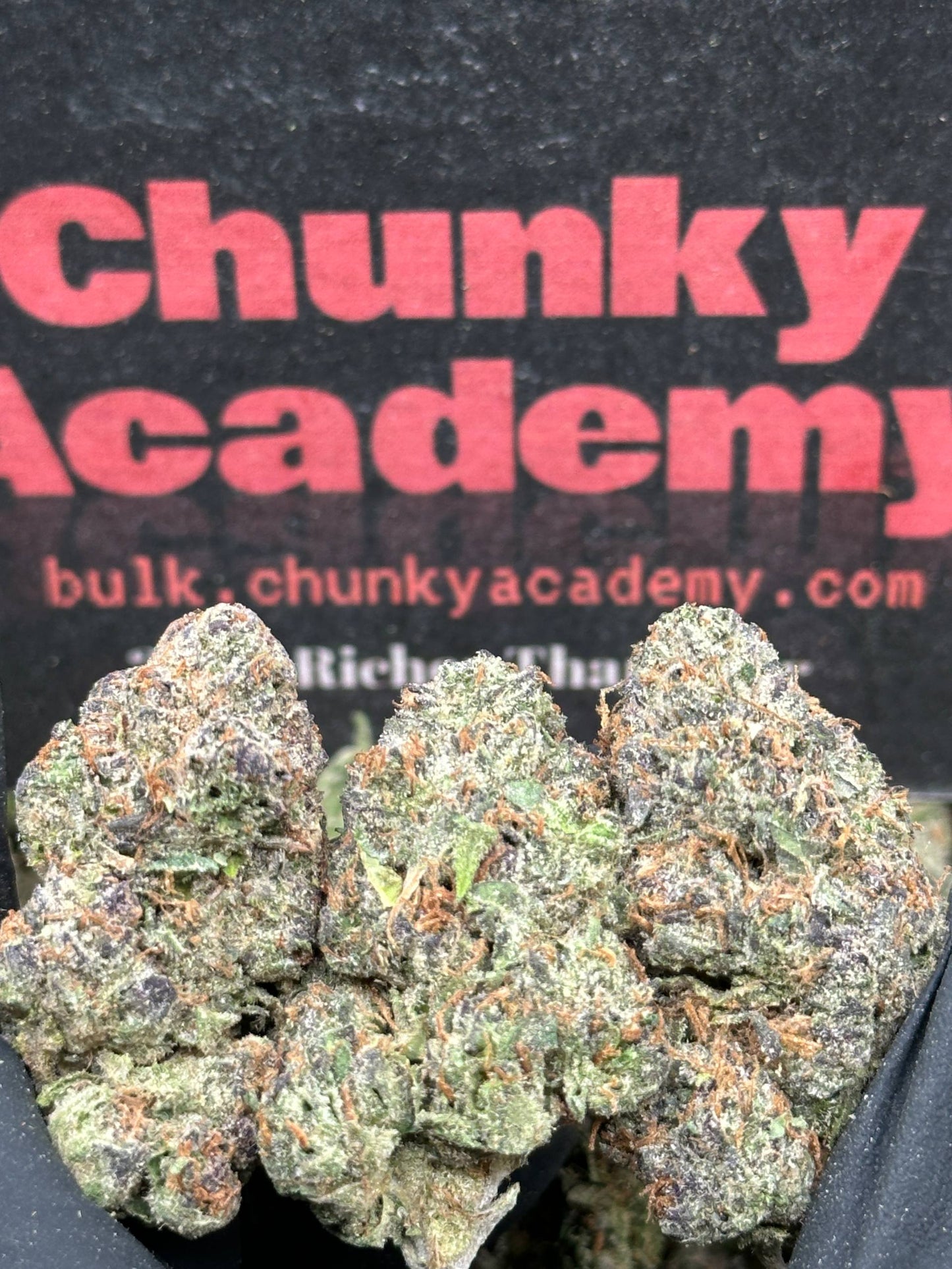 #EA585 - Tangie Mint (Hybrid)