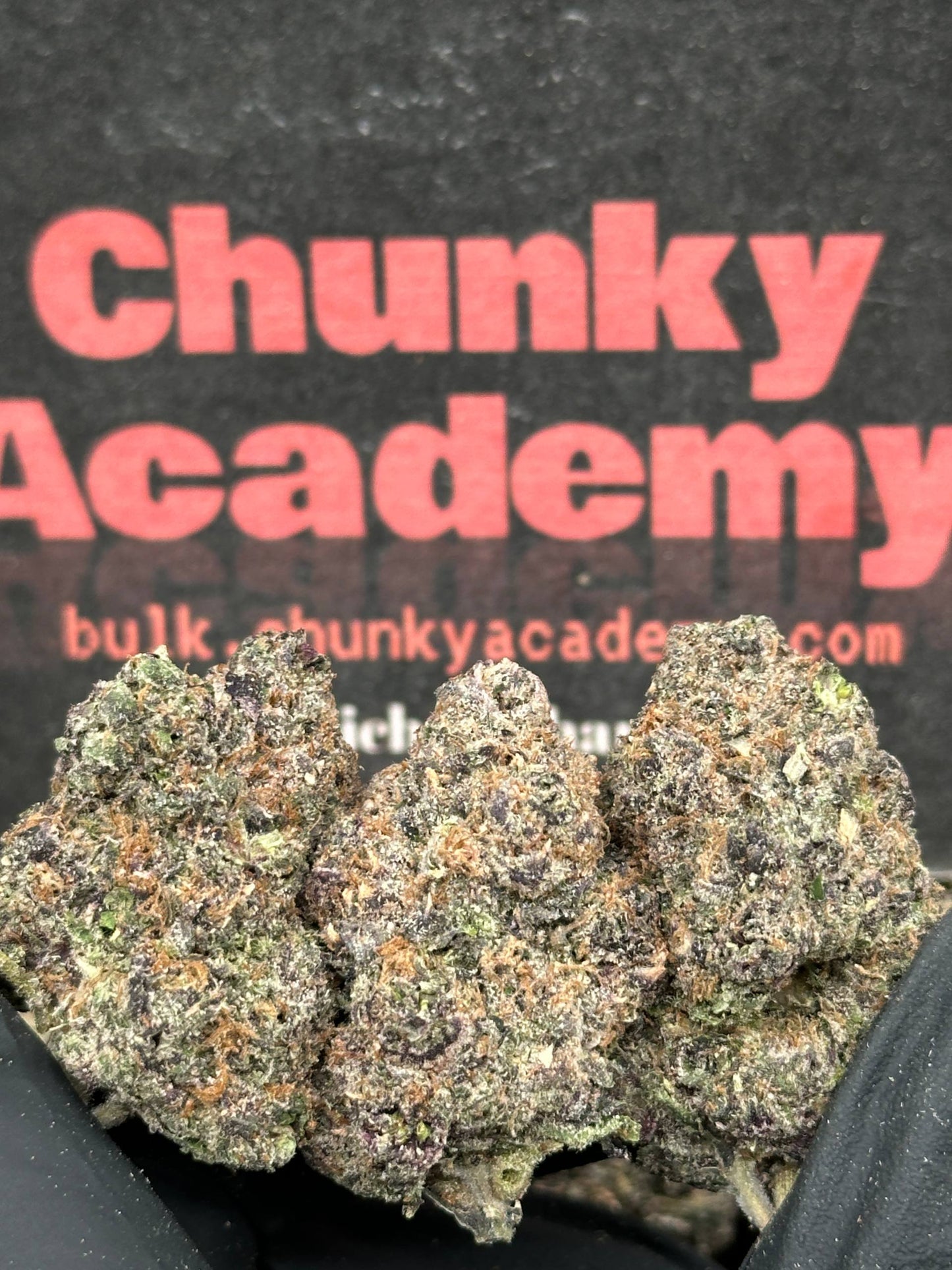 #EA589 - Pineapple Pez (Hybrid)