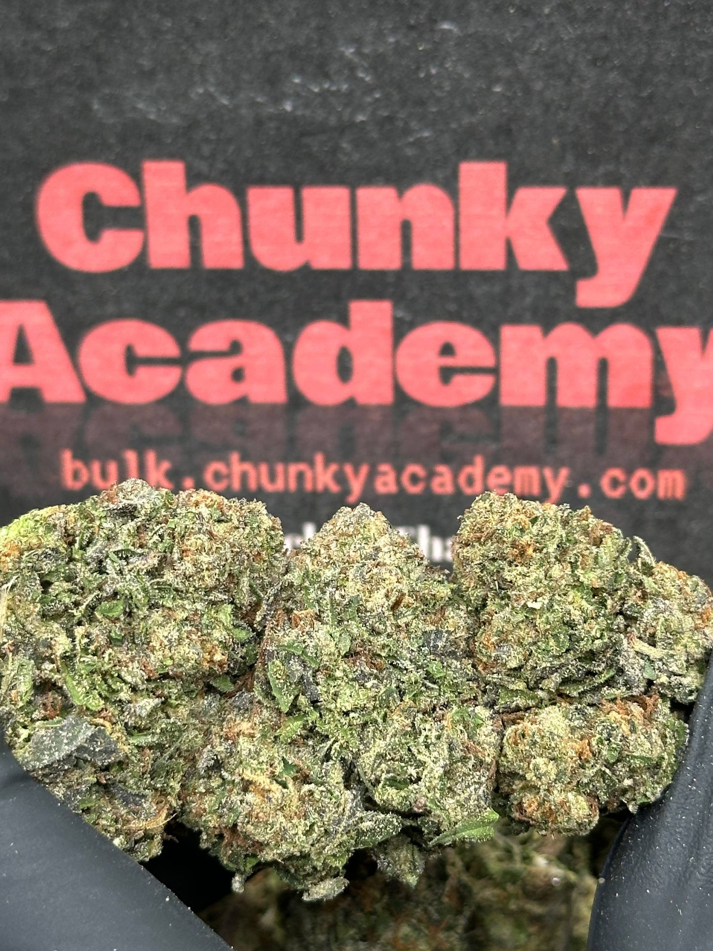 #CEA017 - Lavender Haze (Hybrid)