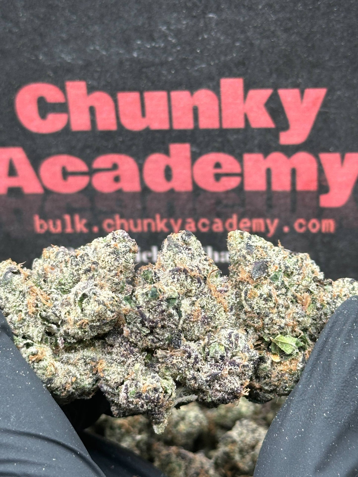#RAP733 - Blueberry Diesel (Hybrid)