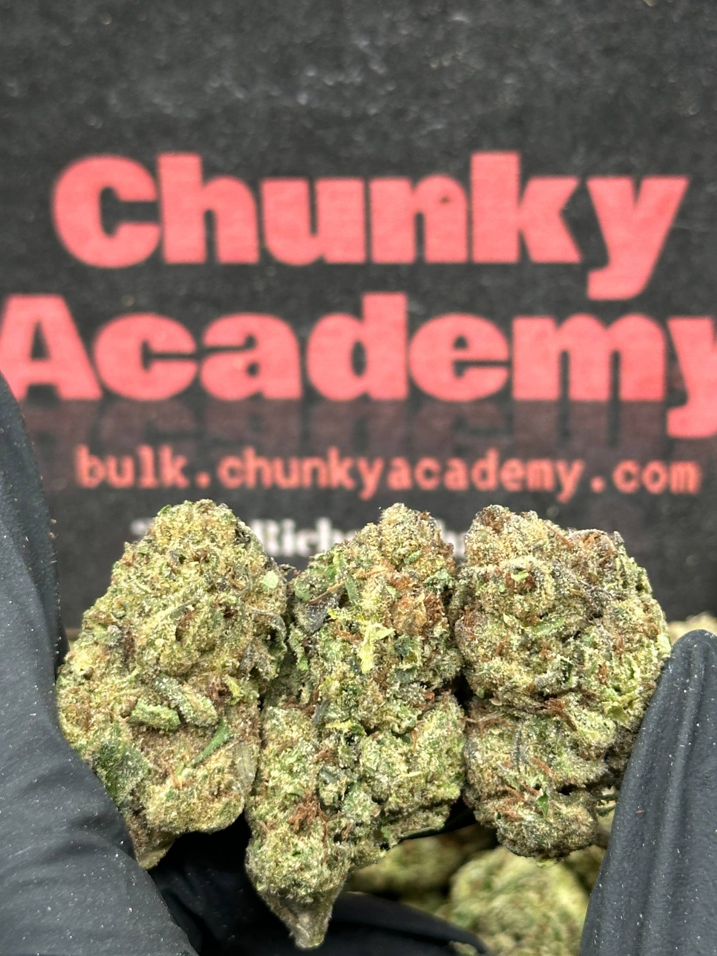 #IP023 - Bubble Gum Pop (Hybrid)
