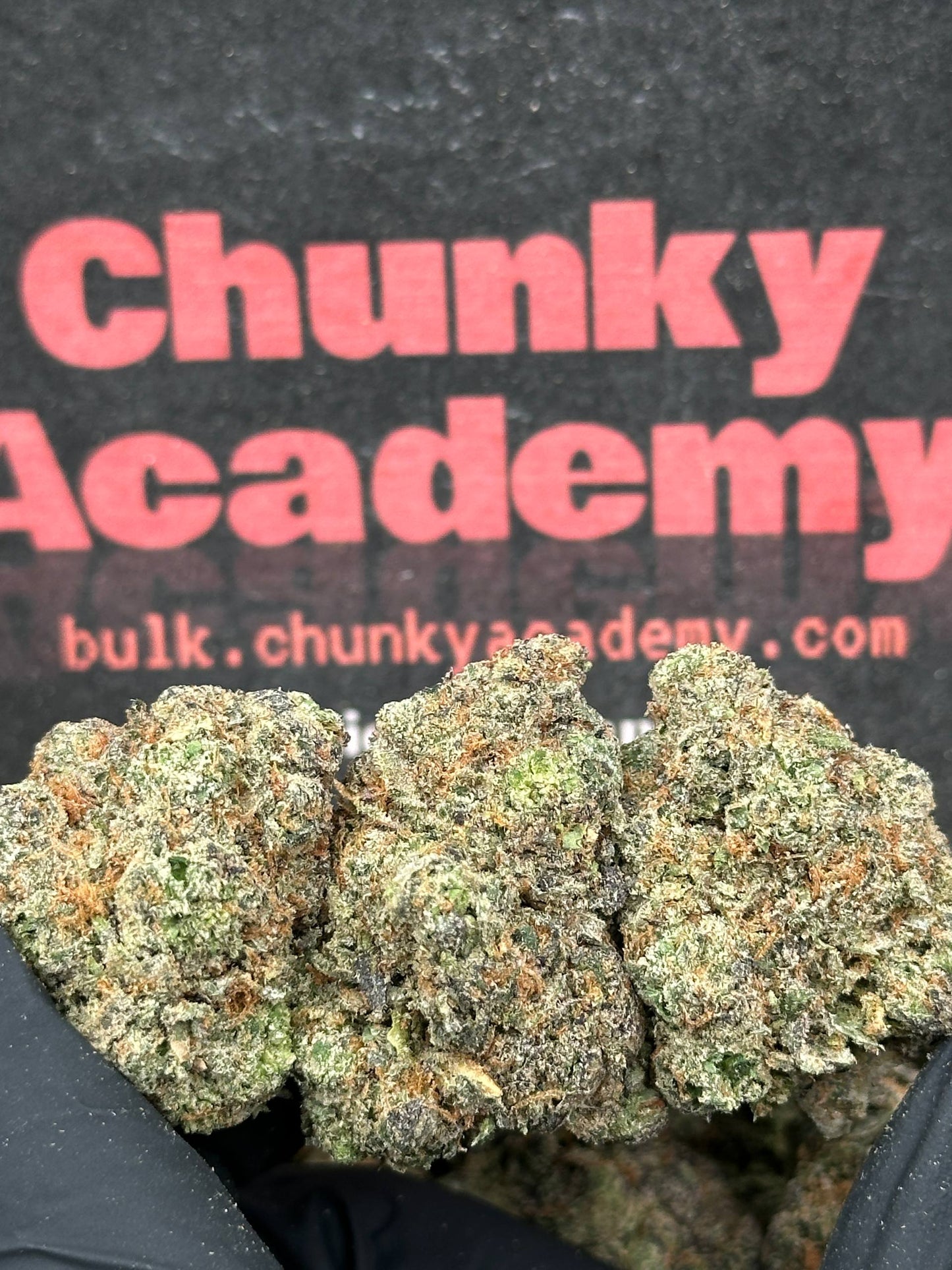 #EA592 - Lemon Drop (Hybrid)
