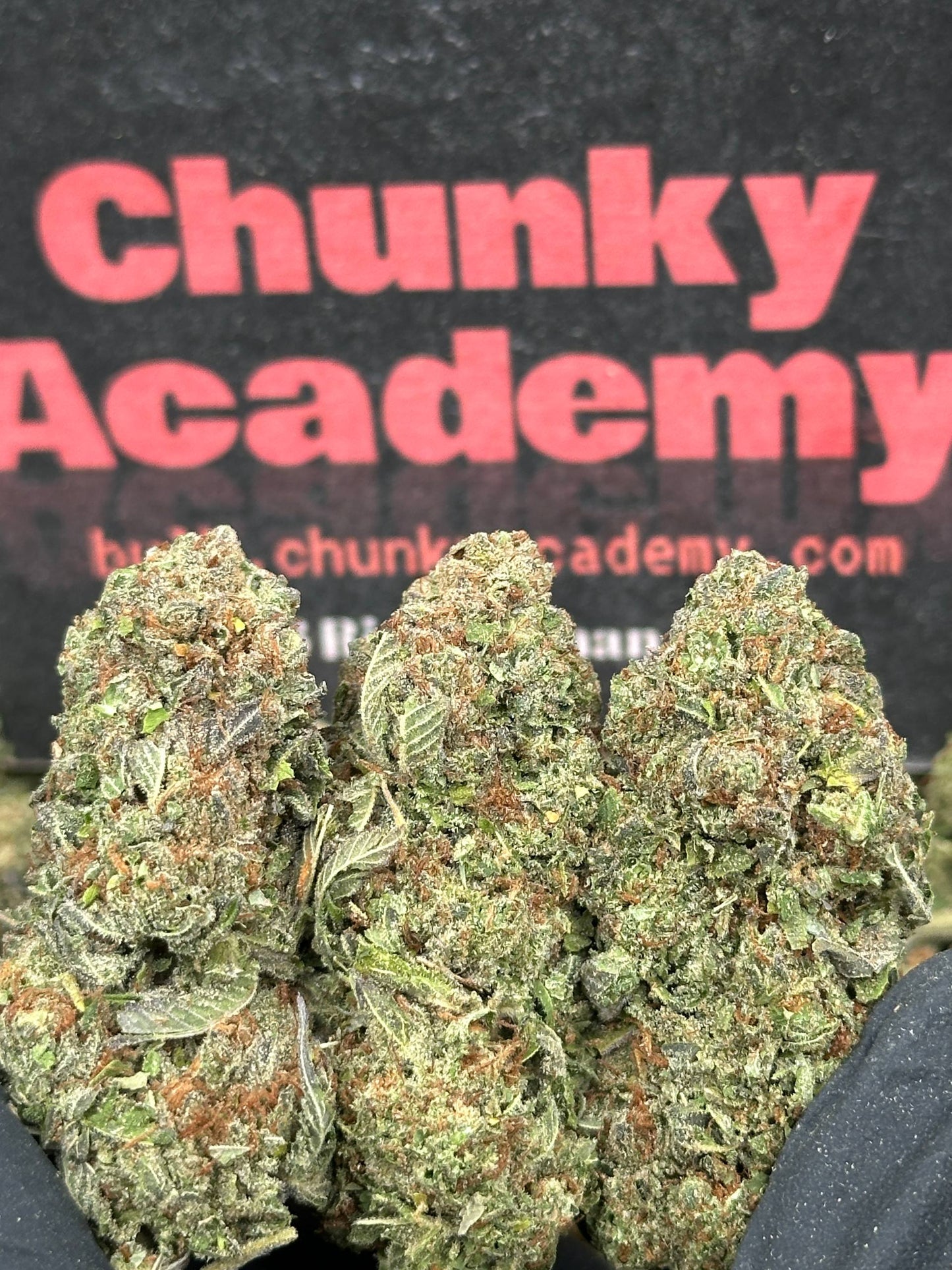 #FK147 - Mint Chocolate Chip (Hybrid)