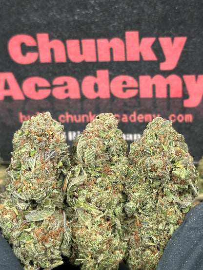 #FK147 - Mint Chocolate Chip (Hybrid)