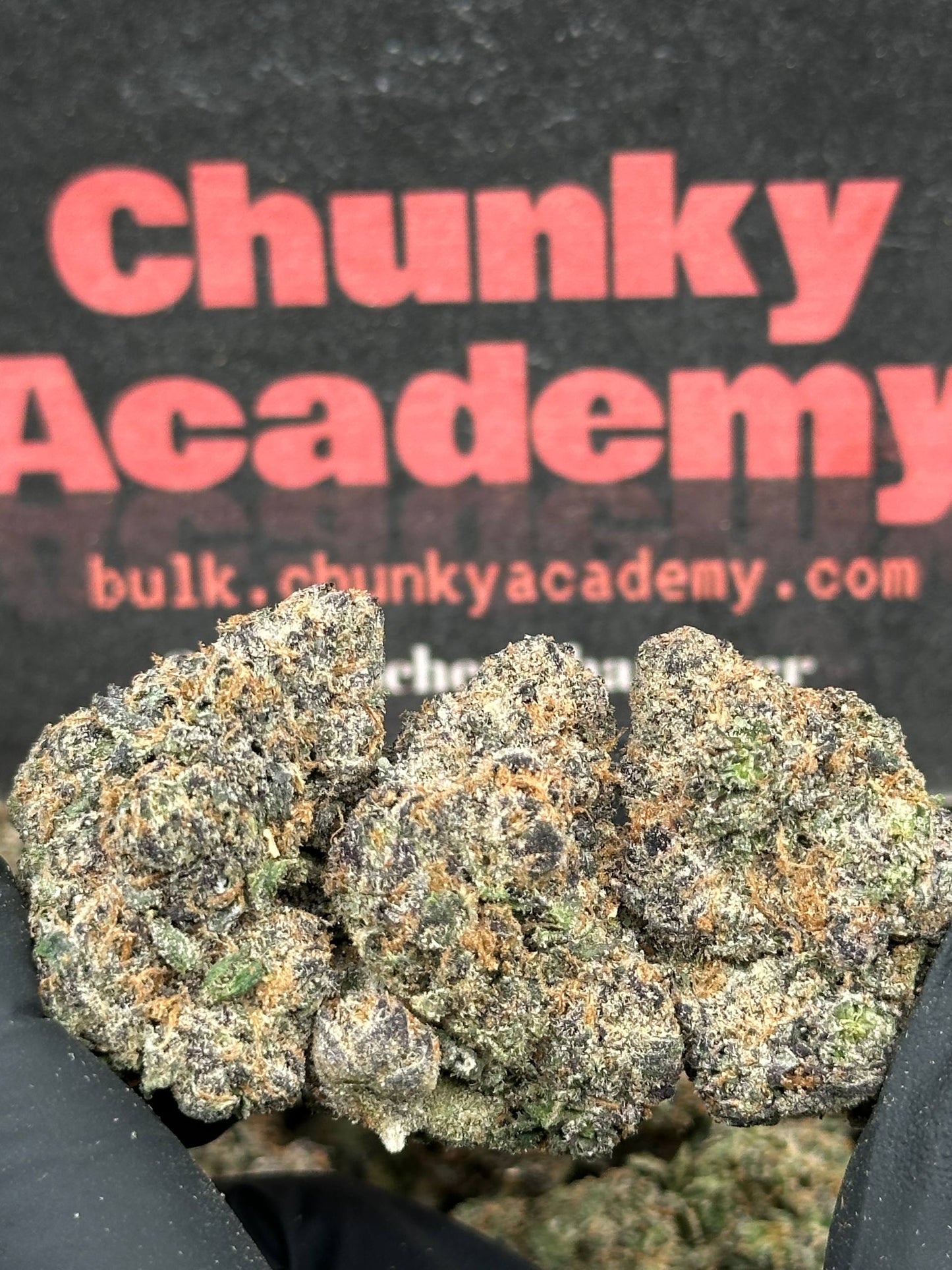 #EA597 - Berry Bliss (Hybrid)