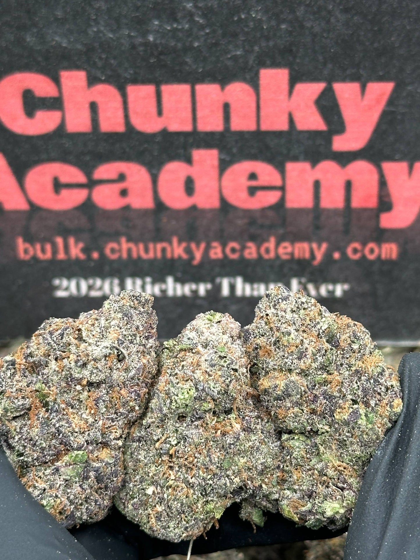 #EA599 - Honey Cake (Hybrid)