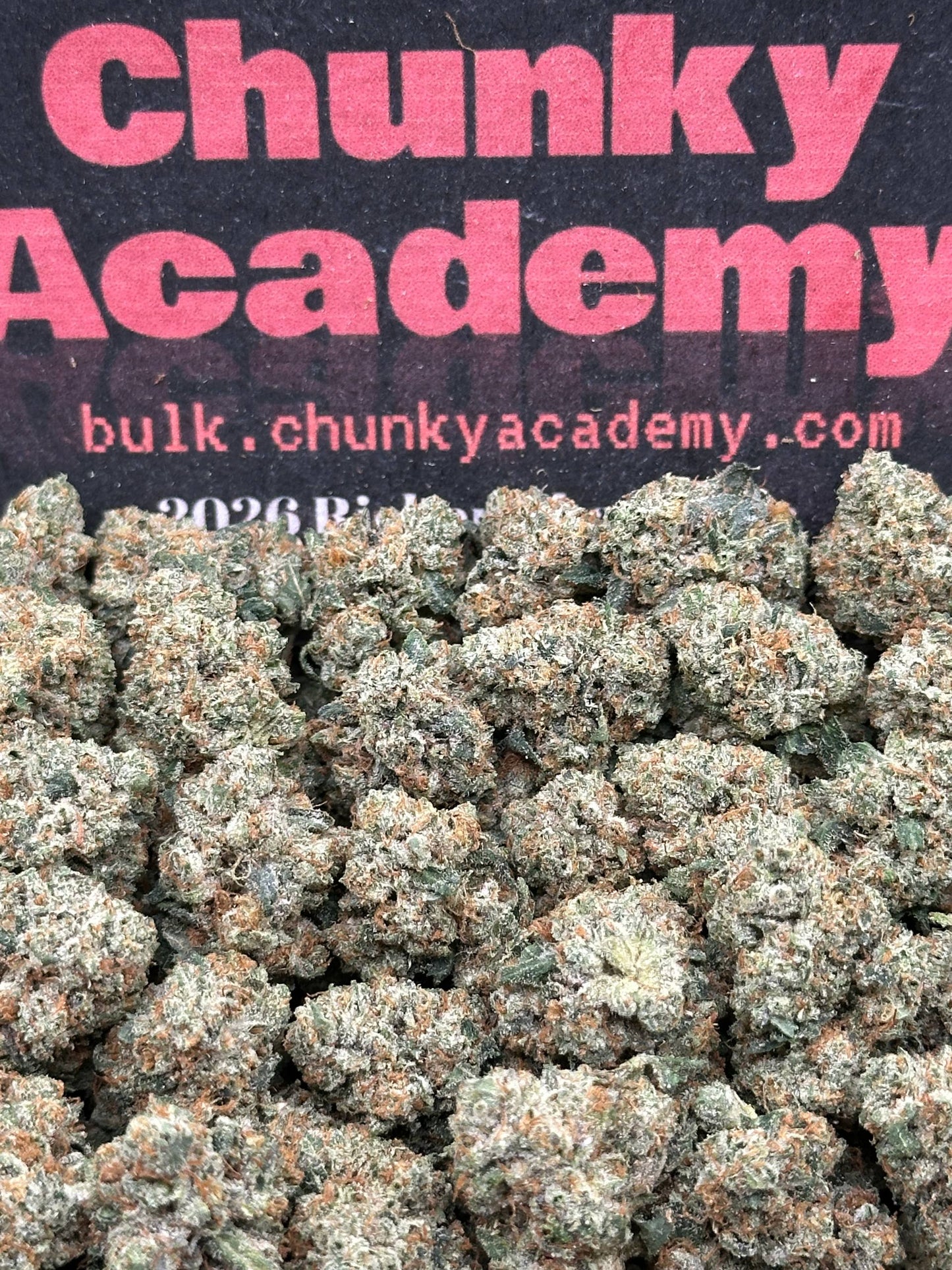 #KAM311 - Sweet Sherbet SM (Hybrid)