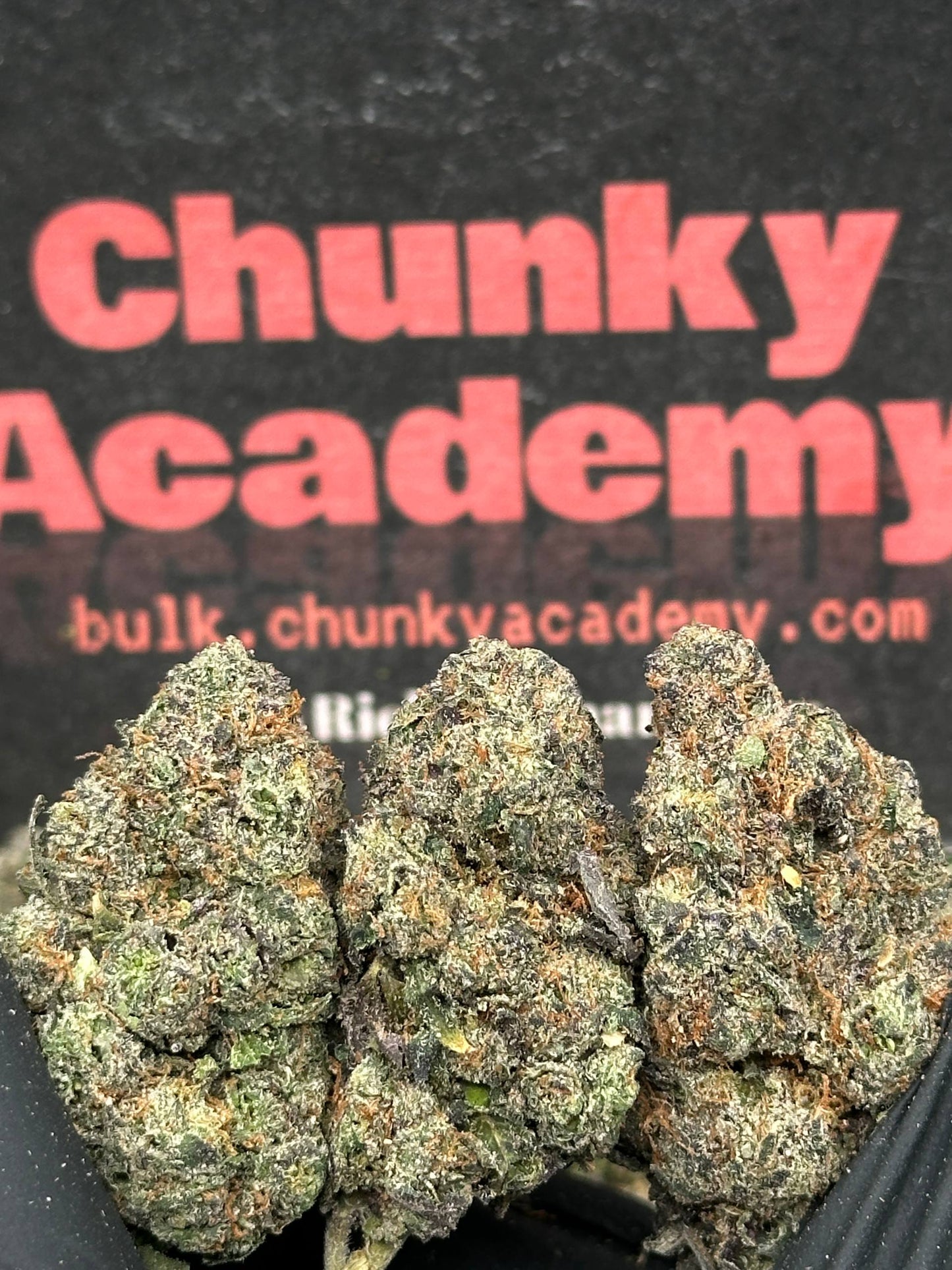 #EA604 - Tropical Bliss (Hybrid)