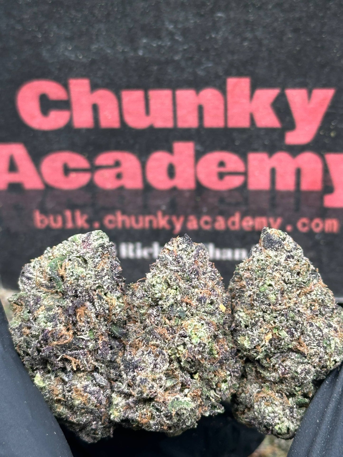 #EA605 - Sherbet Cake (Hybrid)