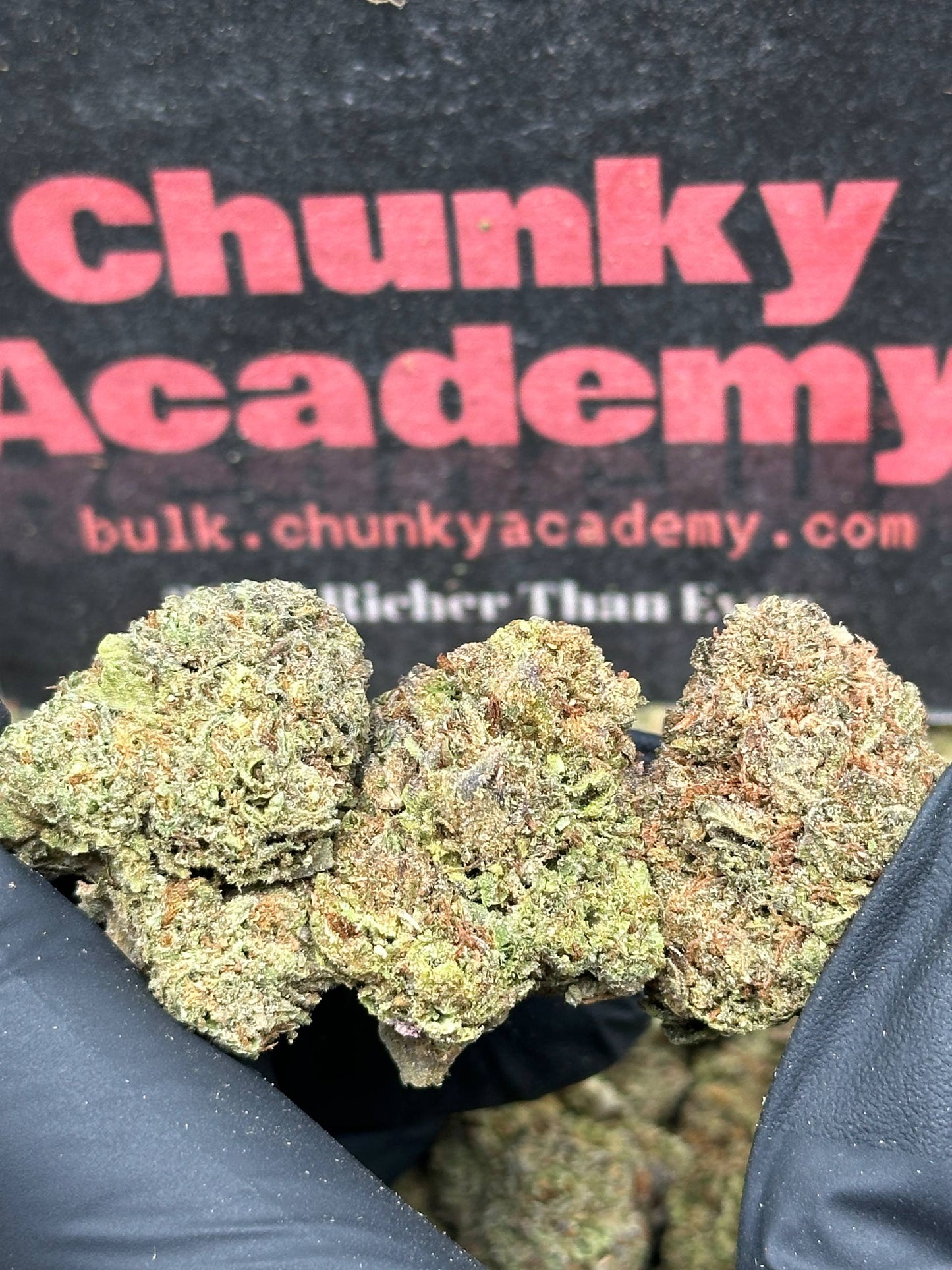 #FK151 - Mango Berry (Hybrid)