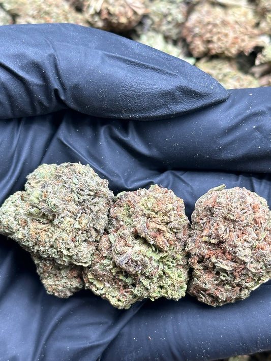 #FK155 - Guava Punch (Hybrid)
