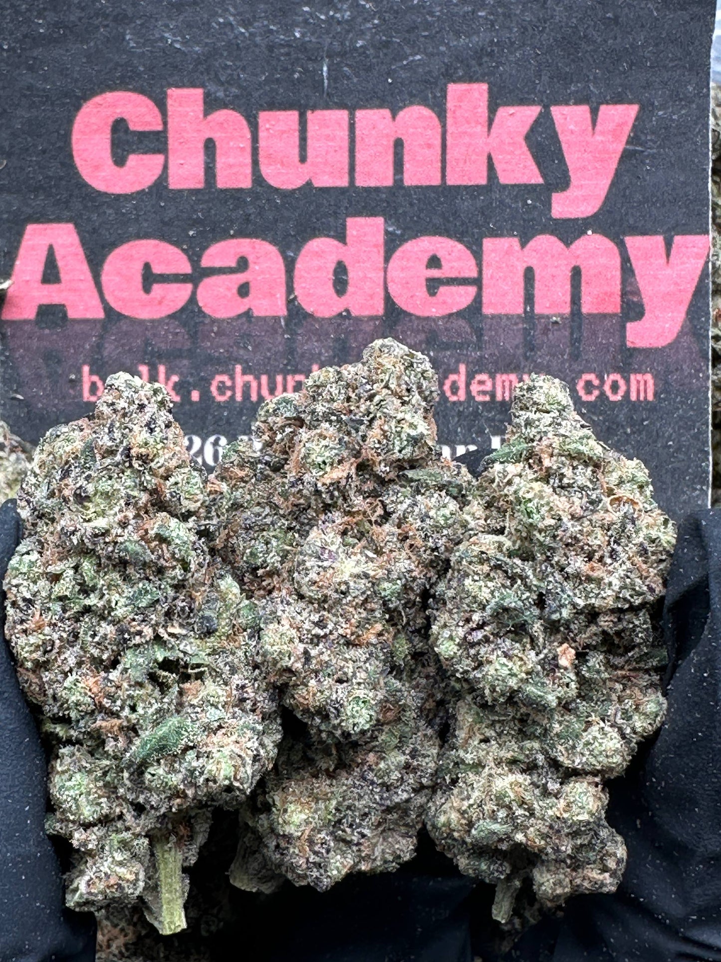 #EA615 - Cookies Velvet (Hybrid)