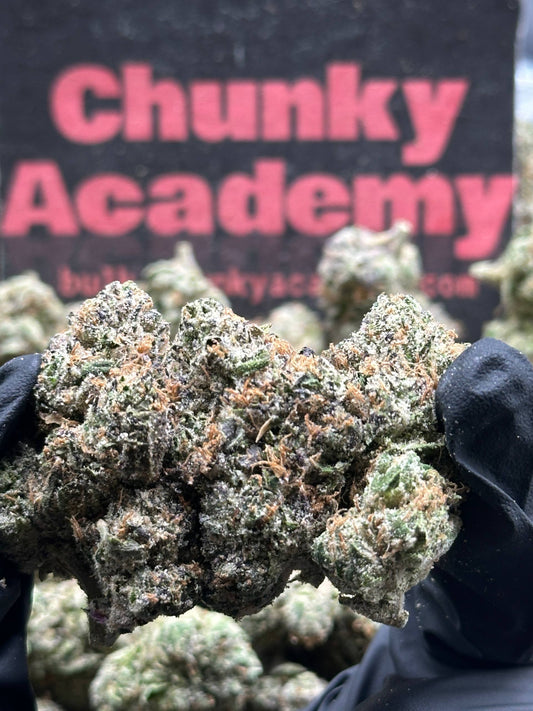 #IN729 - Supreme Sherbet (Hybrid)