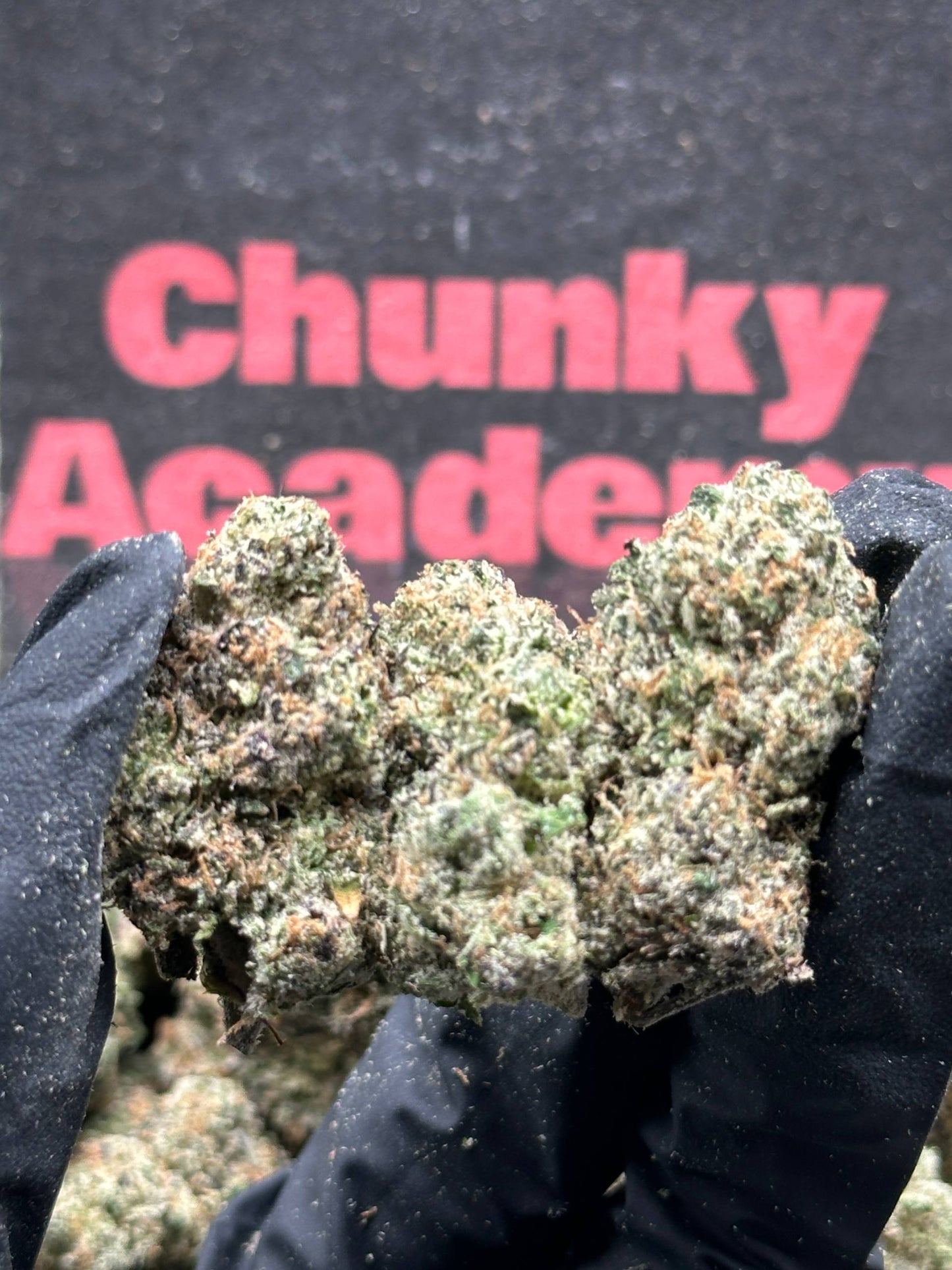 #IN730 - Crown Gelato (Indica)