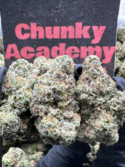 #CIN300 - Cherry Cream Royale (Hybrid)