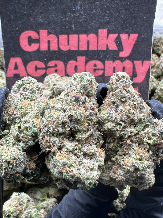 #CIN300 - Cherry Cream Royale (Hybrid)