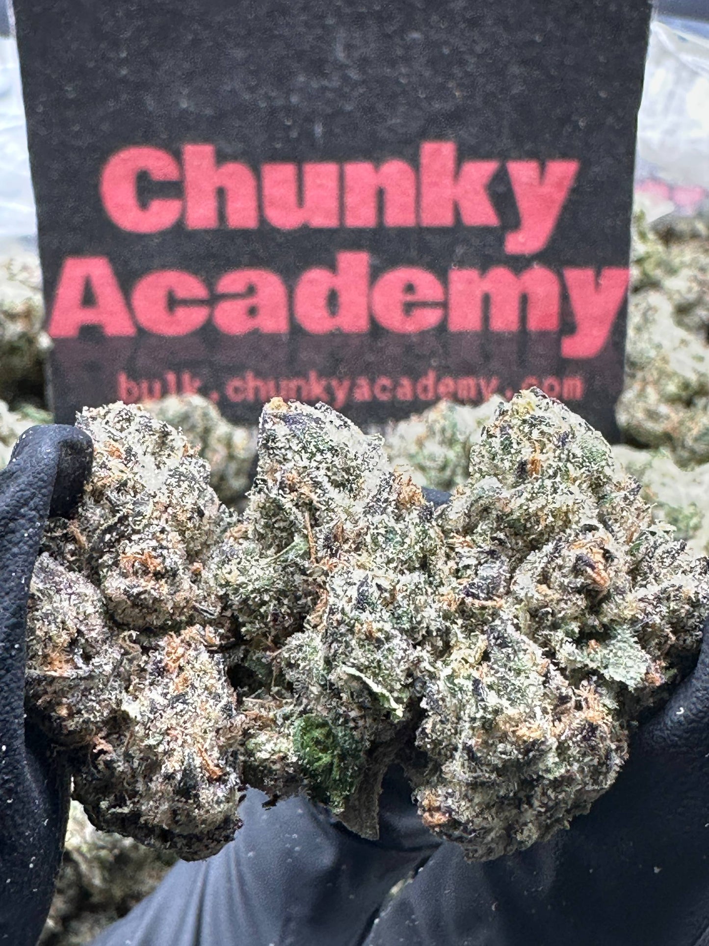 #KI221 - Supreme Gelato (Indica)