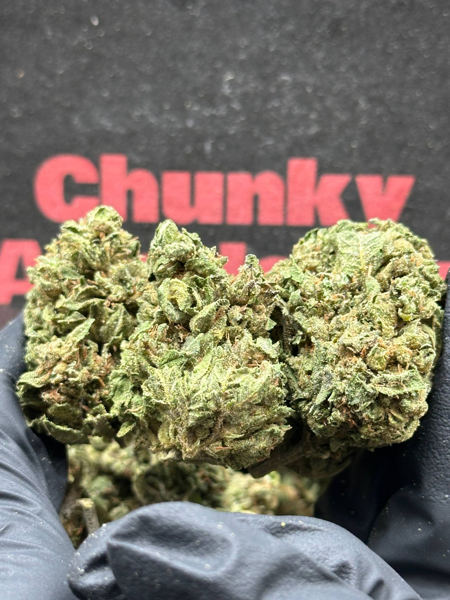 #L001 - Pine Grove (Indica)