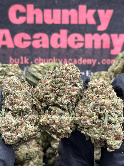 #IP003 - Forest Orchard (Indica)