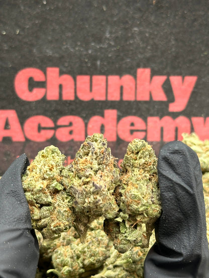 #IP004 - Cream Orchard (Indica)