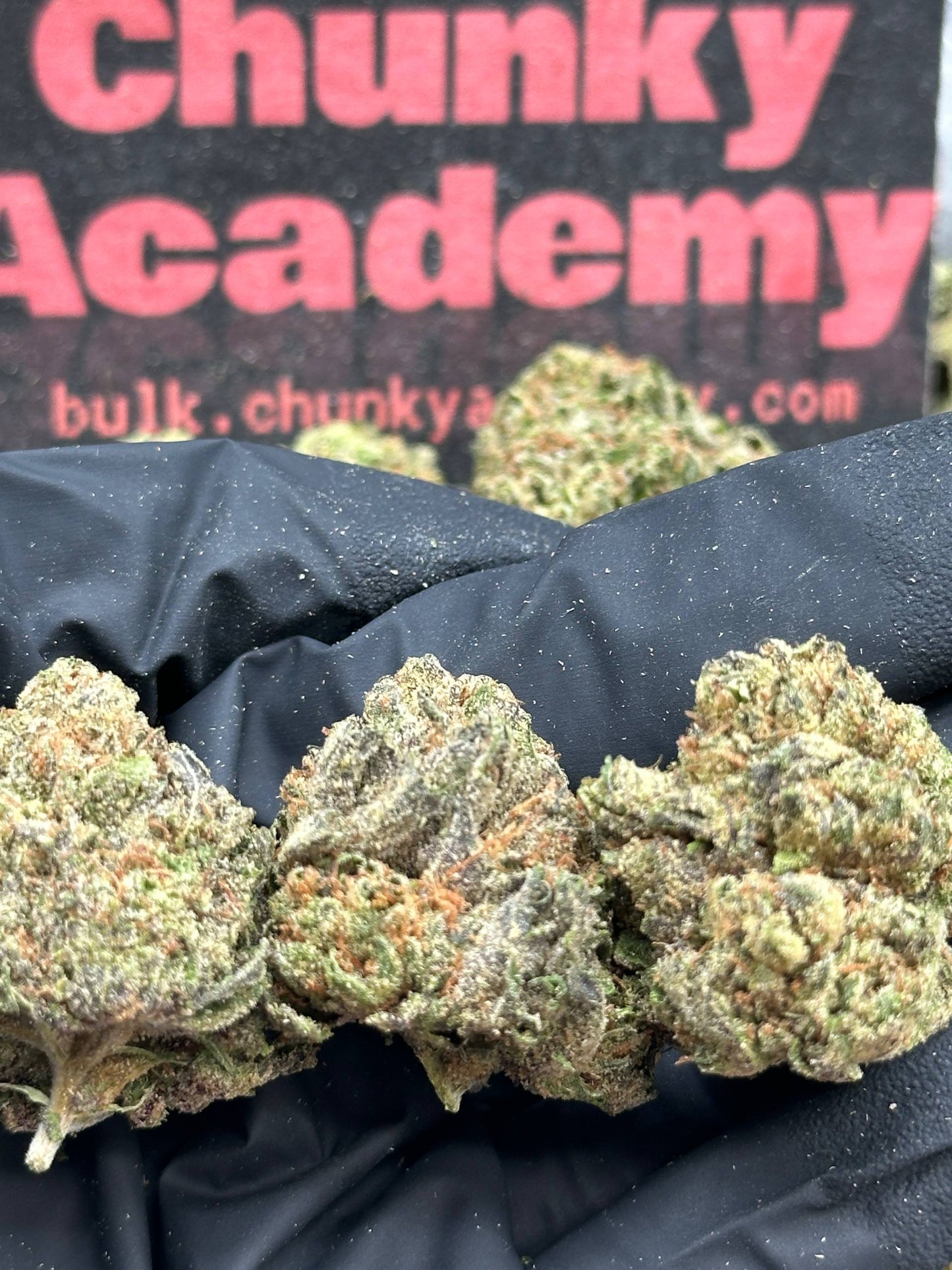 #IP006 - Cedar Hollow (Indica)