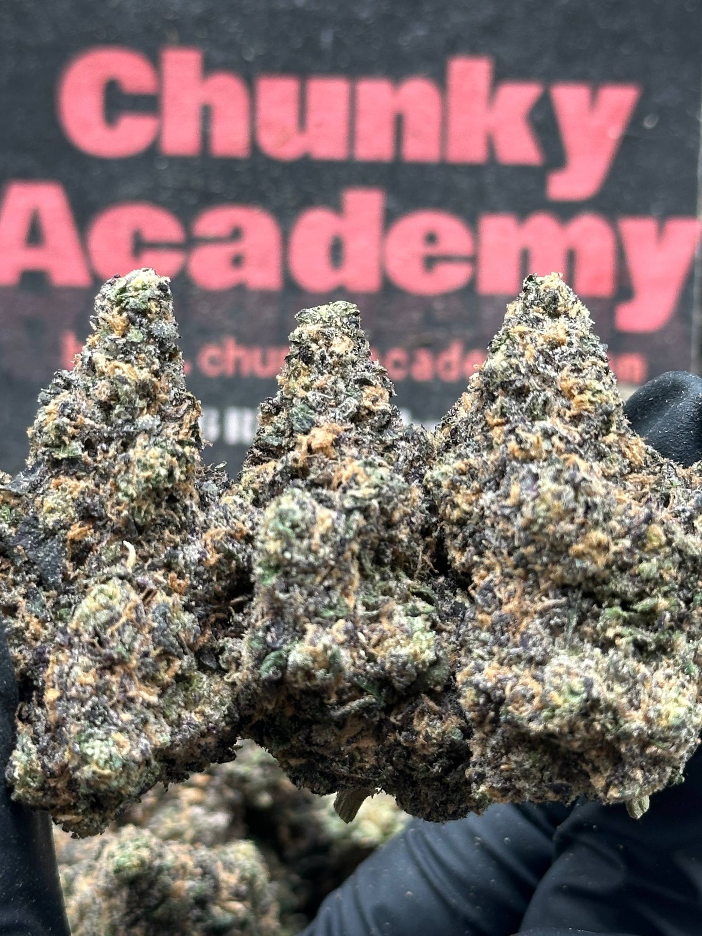 #A006 - Lemon Velvet (Sativa)