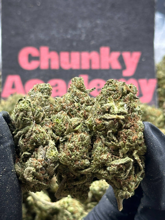 #IP009 - Cedar Grove (Indica)